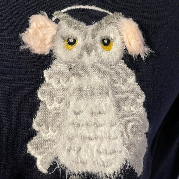 Kate Spade broom street navy owl sweater - Picture 6 of 9
